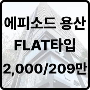 에피소등요산241 플랫타입